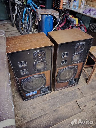 Акустические колонки СССР 35ас1