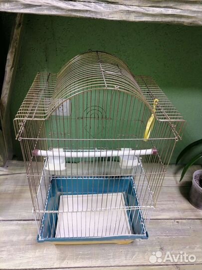 Аквариум и клетки для грызунов и птиц