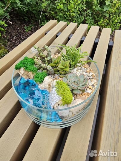 Флорариум с водоемом