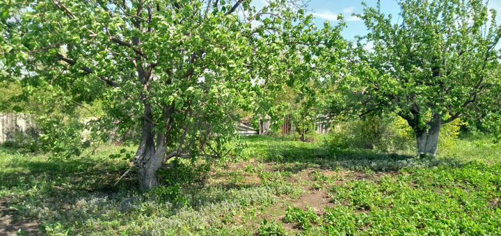 Дом 55 м² на участке 22 сот.