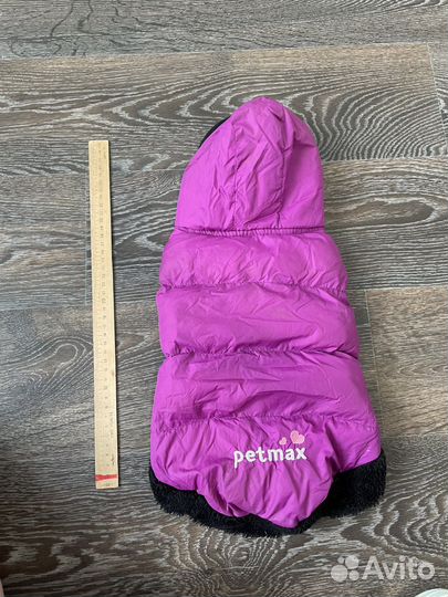 Одежда для собак