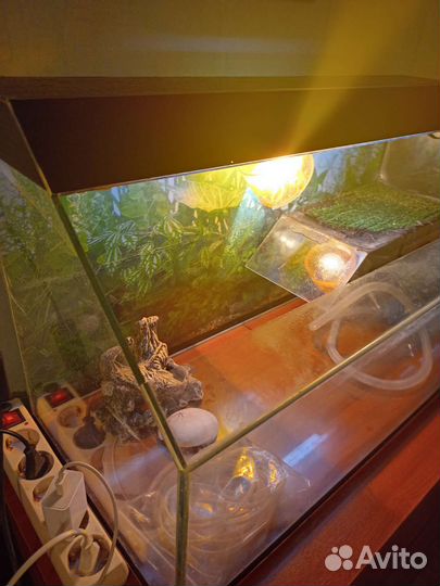 Аквариум