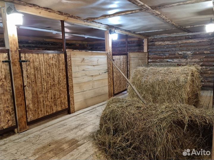 Постой для лошадей