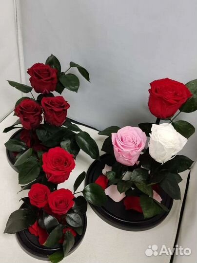 Роза в колбе оптом и в розницу