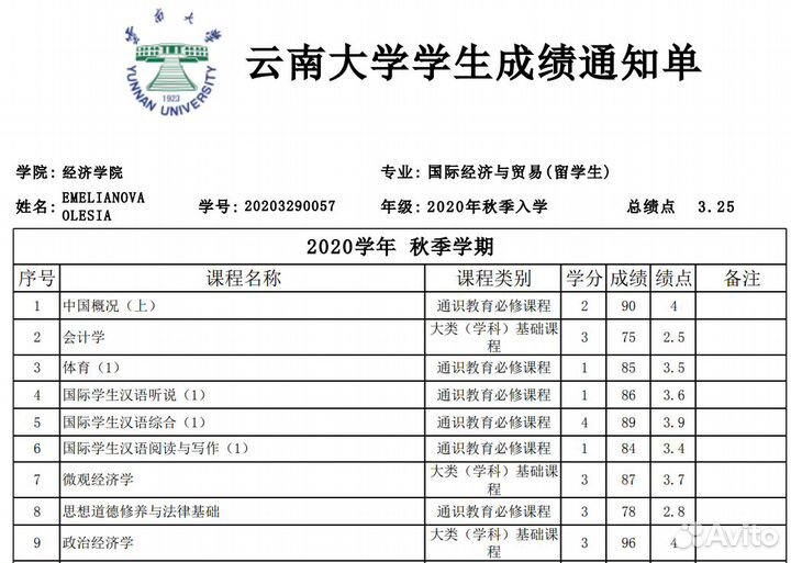 Репетитор китайского языка