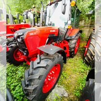 Трактор МТЗ (Беларус) 82, 2023