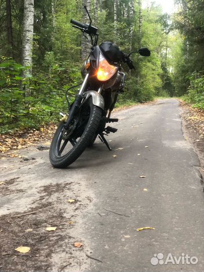 Irbis gs 150