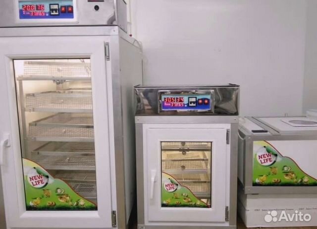 Инкубатор автоматический универсальный