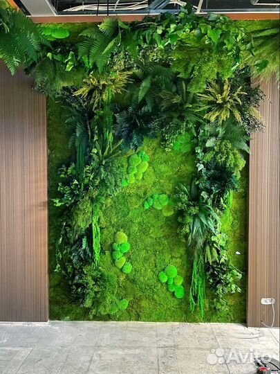 Стабилизированный мох.Озеленение. Ягель.Фитостена