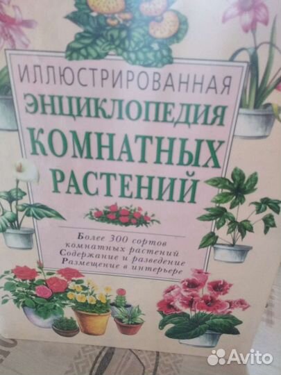 Энциклопедия комнатных растений