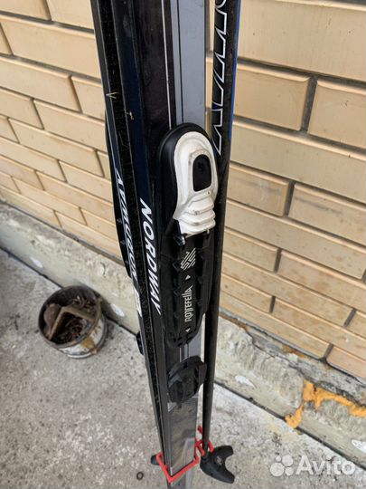 Беговые лыжи