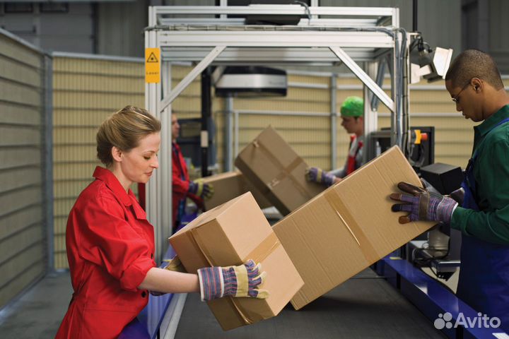 Фасовщик с ежедневной выплаты