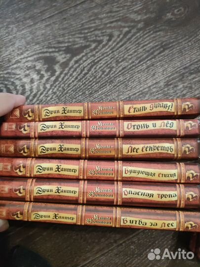 Коты-воители. Цикл «Воители» («Начало пророчеств»)