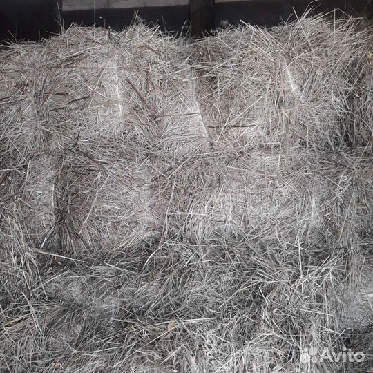 Сено в тюках