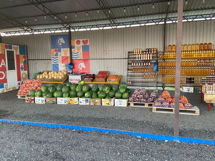 Участок 7 сот. (СНТ, ДНП)