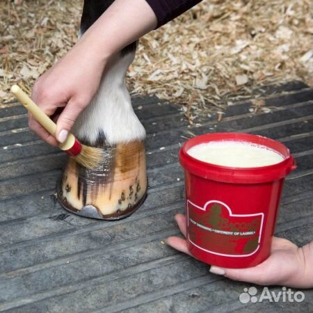 Мазь Hoof Original для копыт лошади 0,25 л Бельгия