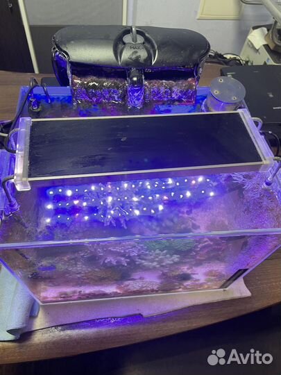 Морской аквариум без тумбы