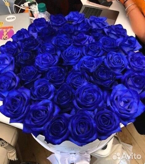 Эквадорские розы на дом