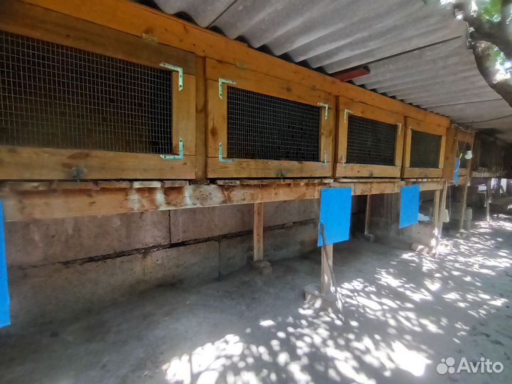 Клетка для кролика