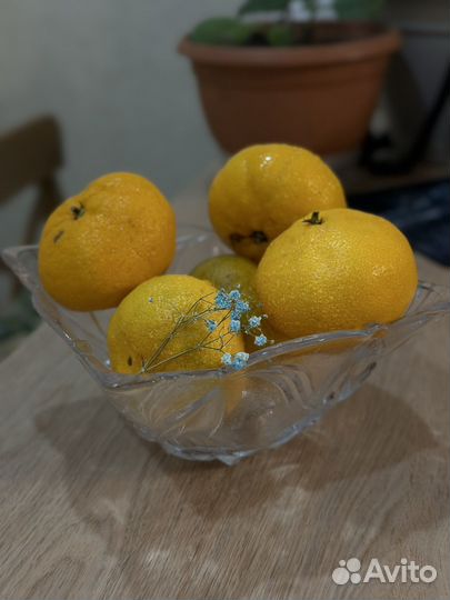 Ваза для фруктов и конфет