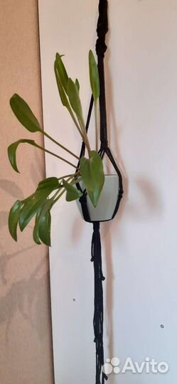Подвес для кашпо.В технике макраме