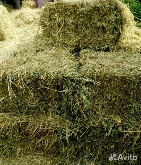 Сено в тюках,солома в тюках