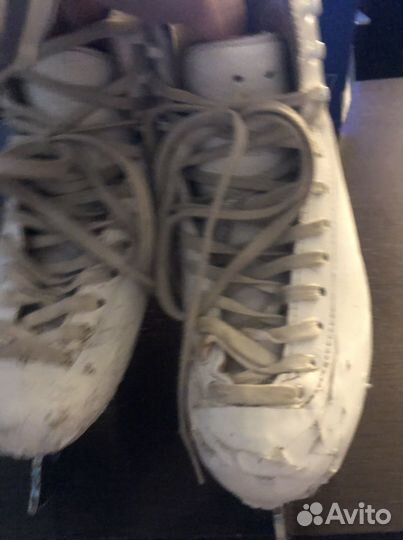 Коньки risport 210