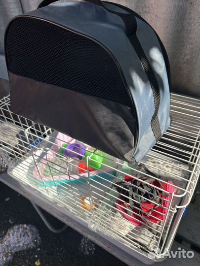 Переноска и клетка для животных