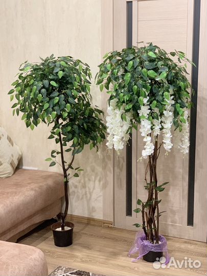 Глициния искусственная