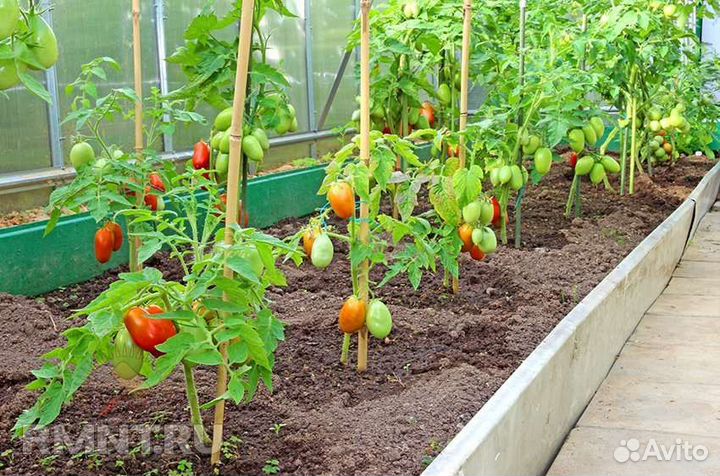 Грунт чёрный. Рыхлая жирная земля