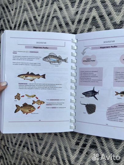 Учебник по биологии для подготовки к огэ и егэ