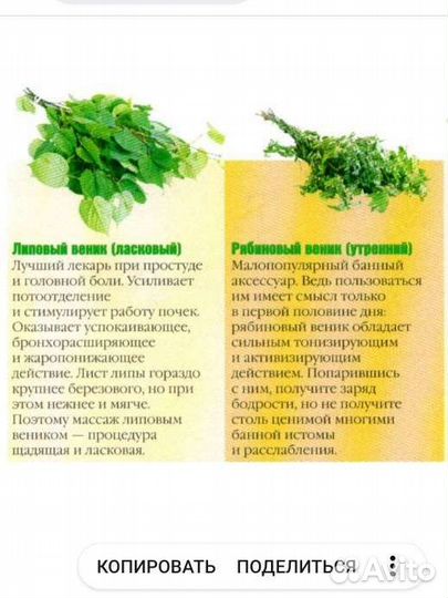 Веники для бани берёзовые