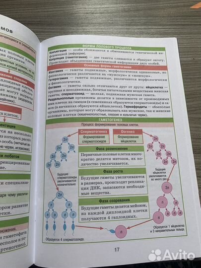 Шпора по биологии