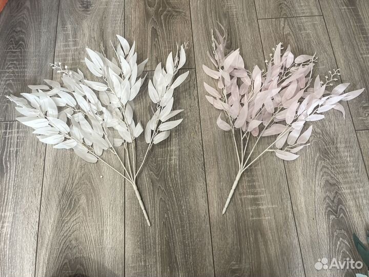 Декоративная зелень ветки