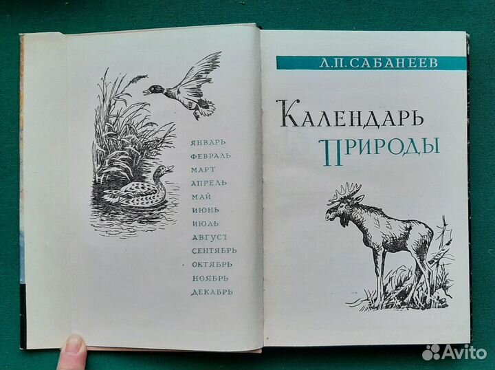 Сабанеев Л. Календарь природы. 1964