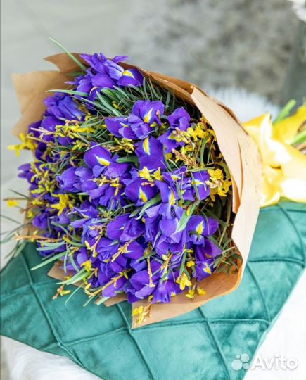 Букеты Синих Ирисов
