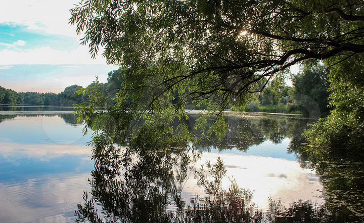 Участок 15,5 сот. (СНТ, ДНП)