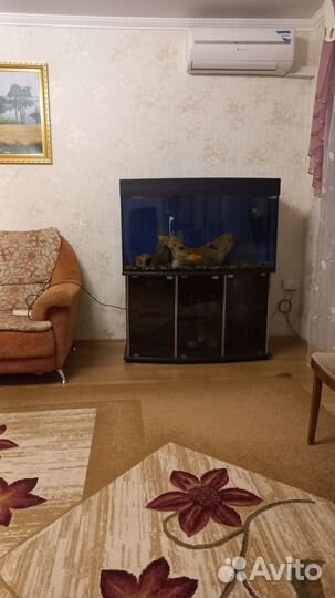 Аквариум с тумбой 240л