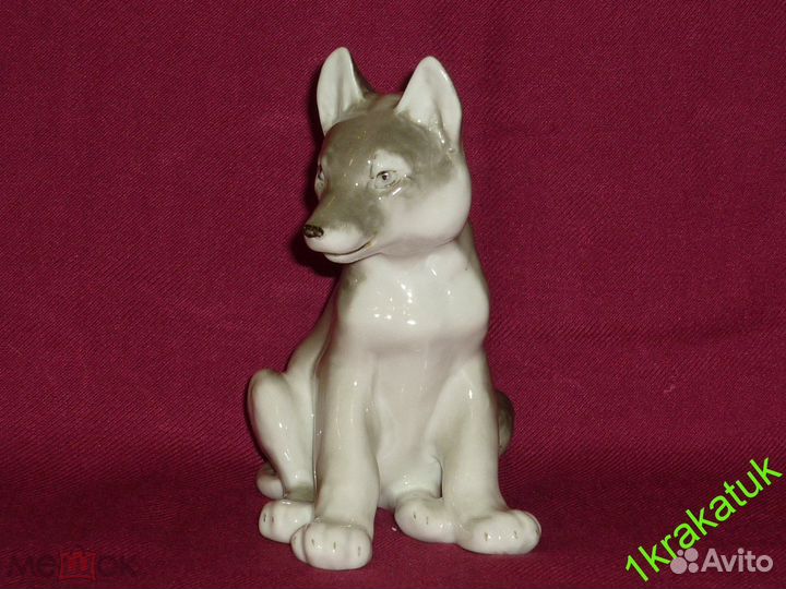 Волк, волчонок. лфз. редкость
