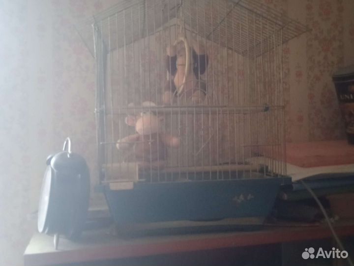 Клетка для птиц и драконов