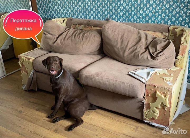 Перетяжка и ремонт мягкой мебели