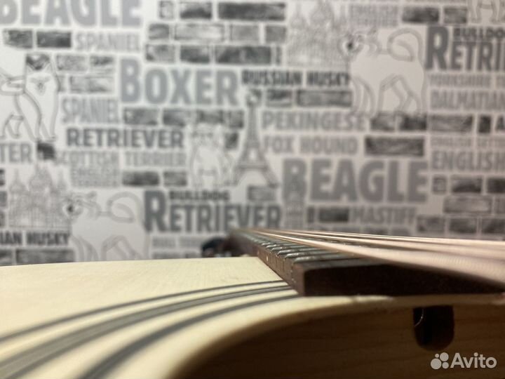 Акустическая гитара Cort