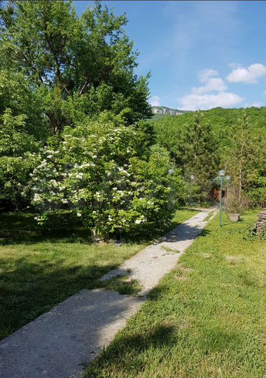 Участок 44 сот. (ИЖС)