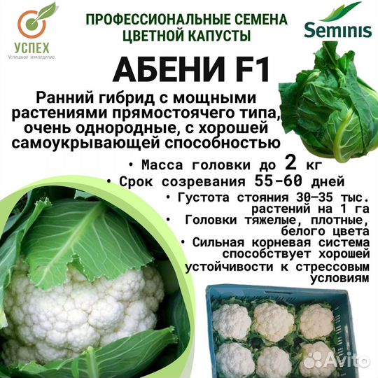 Семена цветной капусты Абени F1