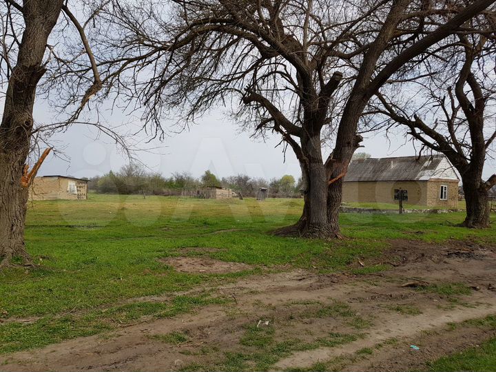 Участок 20 сот. (ИЖС)