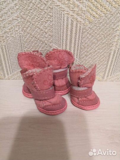 Обувь для маленьких собак