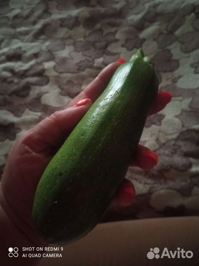 Козье молоко. Доставка.Овощи Фрукты