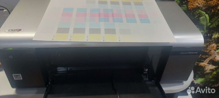 Epson L800
