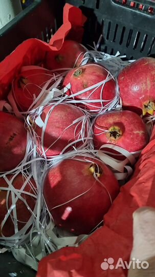 Доставка овощей и фруктов по Омску и омской обл