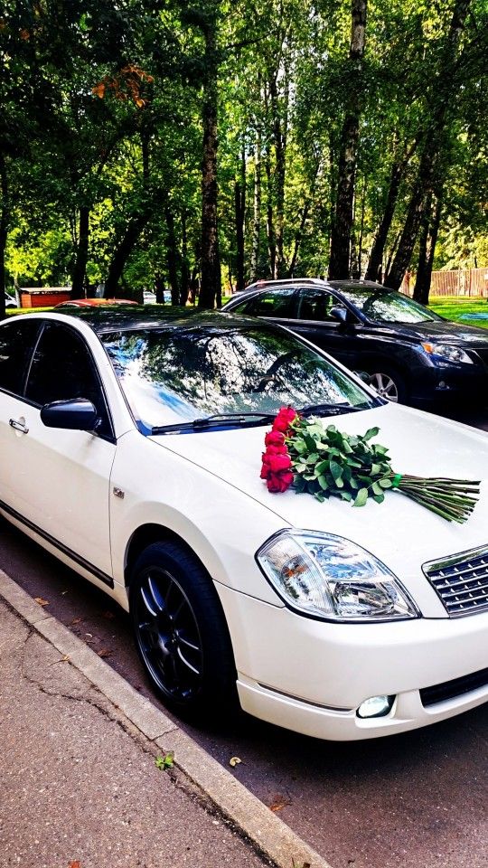 Nissan Teana: фото владельца